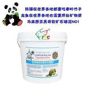 龍魚和羅漢混養技巧：如何判斷龍魚和羅漢魚性格