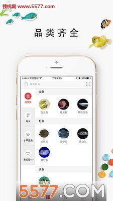 龍魚之巔商城