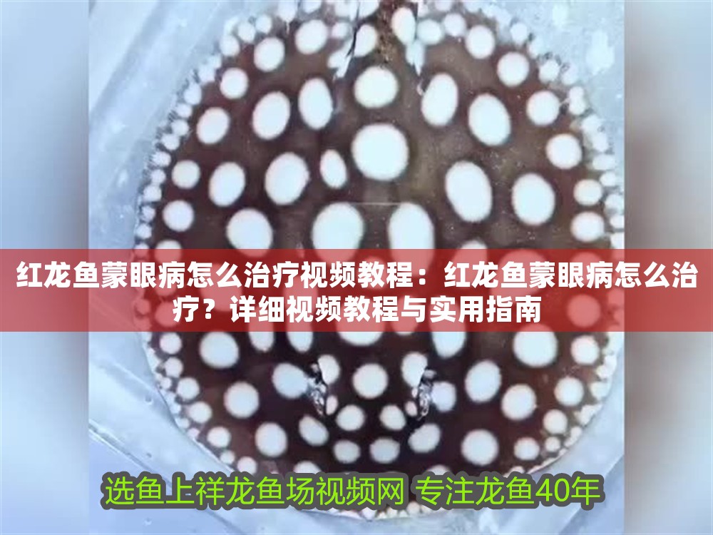 紅龍魚蒙眼病怎么治療視頻教程：紅龍魚蒙眼病怎么治療？詳細(xì)視頻教程與實用指南