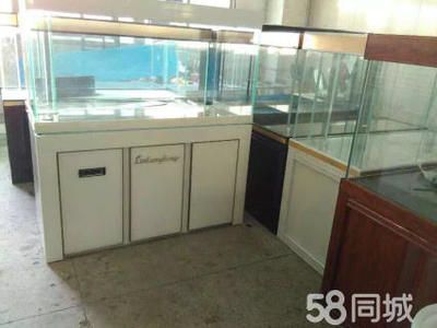龍魚網上買還是實體店買：龍魚網購注意事項,龍魚運輸風險及對策,如何辨別龍魚健康狀況