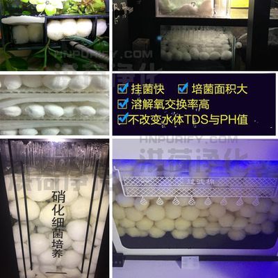 養龍魚水質檢測標準TDS：養龍魚時，水質檢測標準tds值在這個范圍內