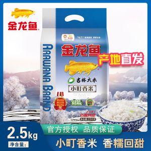 魚缸有不用換水的嗎視頻教程（如何制作高效過濾系統低密度養魚的具體操作）