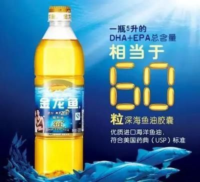 金龍魚值得買嗎現在：購買金龍魚的注意事項