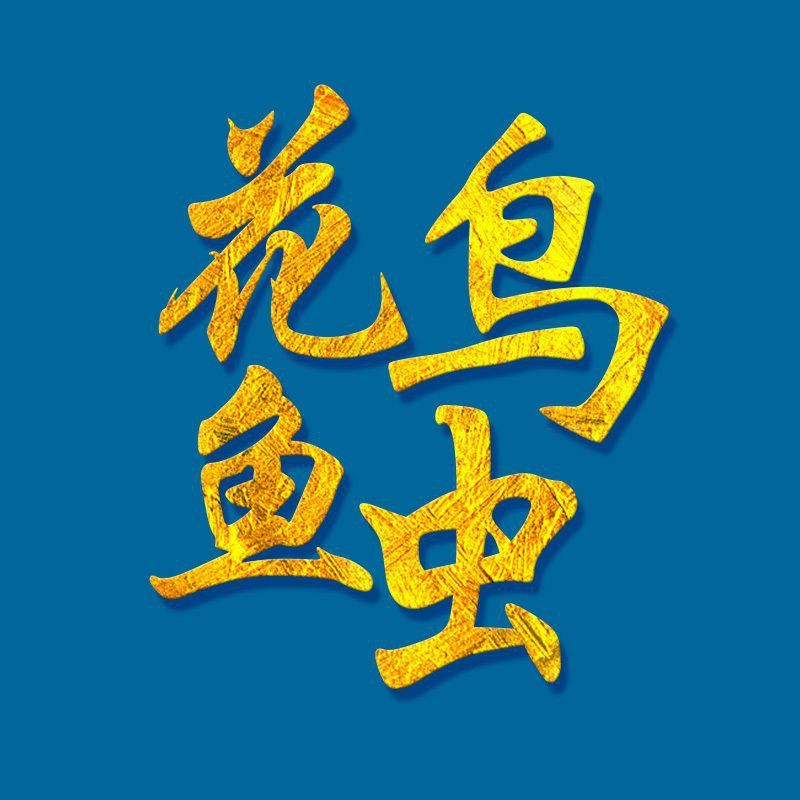 龍魚立鱗最怕三個藥物