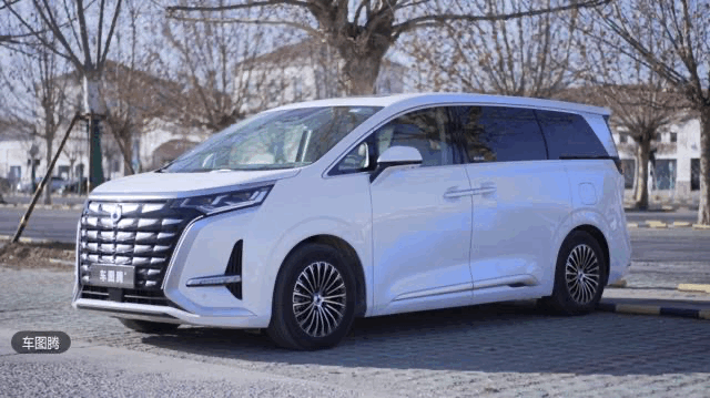 騰勢D9金龍魚壁紙高清版 騰勢D9金龍魚壁紙高清版 龍魚百科 第5張