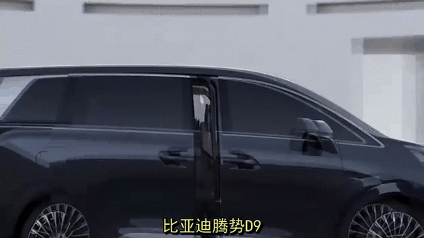 騰勢D9金龍魚壁紙高清版 騰勢D9金龍魚壁紙高清版 龍魚百科 第6張