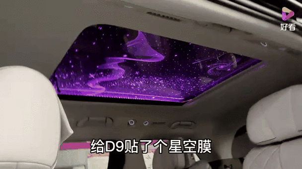 騰勢D9金龍魚壁紙高清版 騰勢D9金龍魚壁紙高清版 龍魚百科 第10張