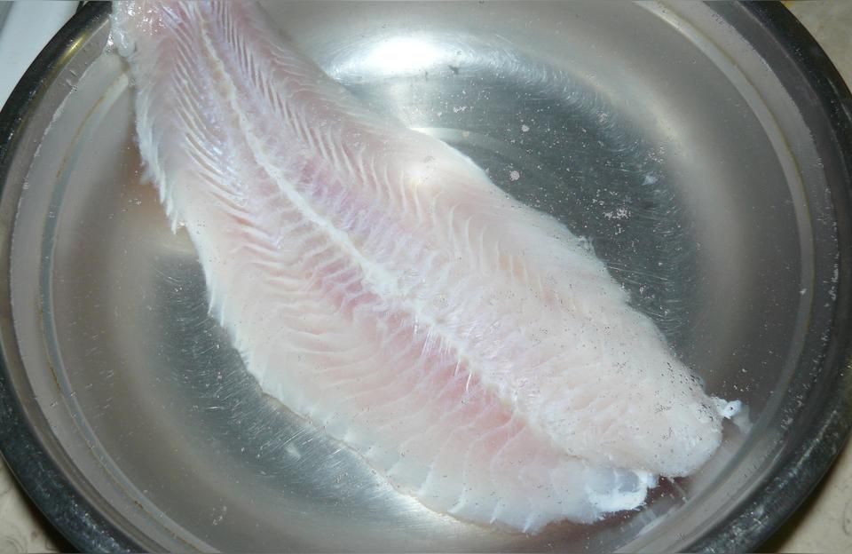 鄭州龍利魚批發:龍利魚是進口的還是國產的