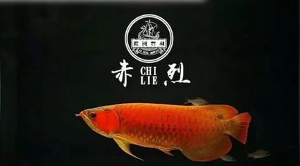 龍魚蒙眼下什么鹽：治療龍魚蒙眼時(shí)選擇合適的鹽進(jìn)行消毒是非常重要的
