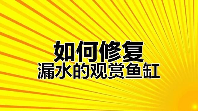 適合養龍魚的魚缸圖片