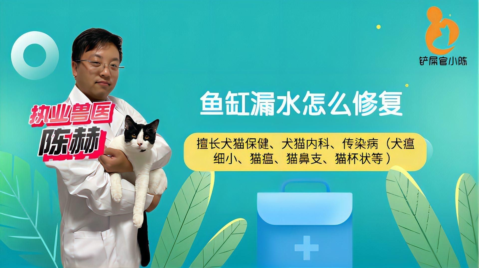 適合養龍魚的魚缸圖片