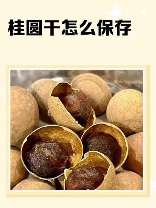 曬干或烘干后的龍眼如何保存？