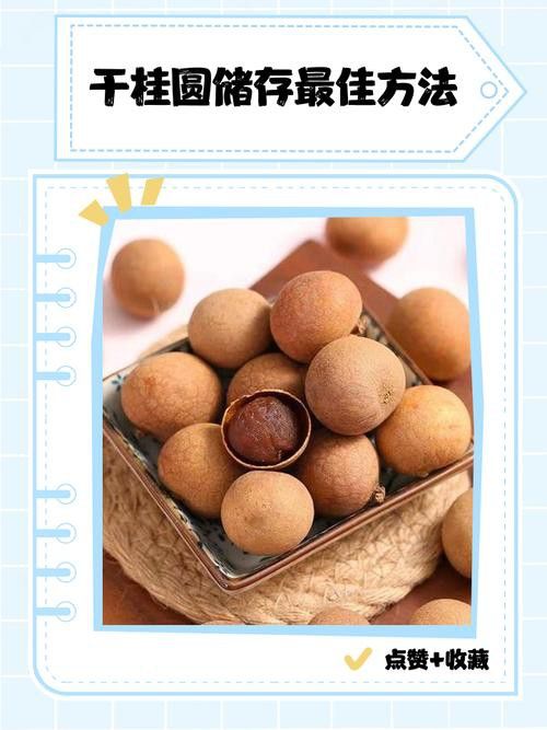 曬干或烘干后的龍眼如何保存？