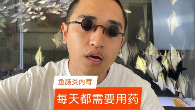 龍魚內寄治療期間需要停食嗎？