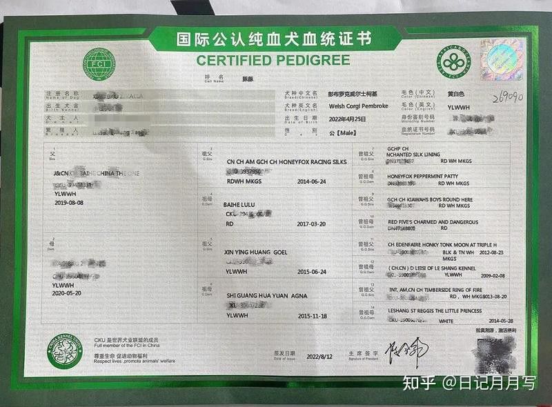 血統(tǒng)證書如何辨別真?zhèn)危? title=