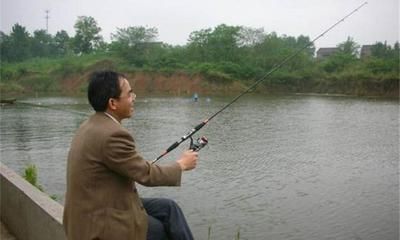金龍魚(yú)多大才發(fā)色好一點(diǎn)：金龍魚(yú)多大才發(fā)色好？揭秘最佳發(fā)色階段與影響因素