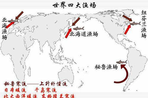 紅龍魚四大漁場排名（紅龍魚四大漁場排名如何）