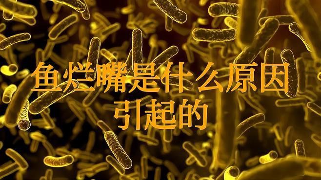 如何預防龍魚嘴巴爛病？