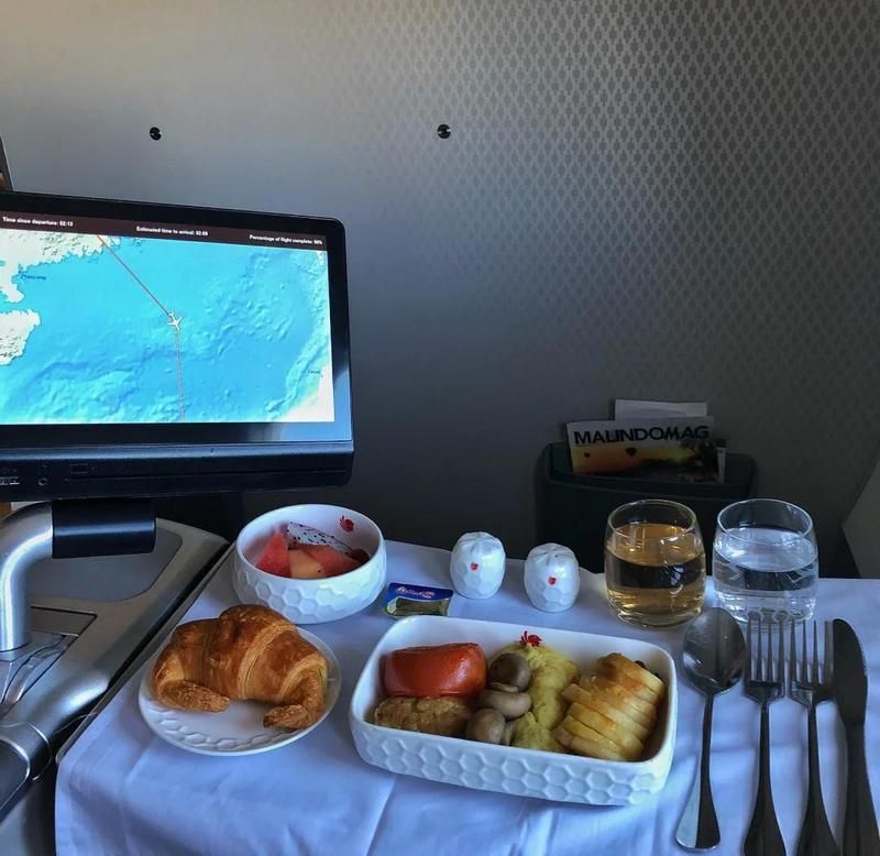 馬印航空怎么樣安全嗎 龍魚百科 第2張 馬印航空怎么樣安全嗎 馬印航空怎么樣安全嗎 龍魚百科 第2張