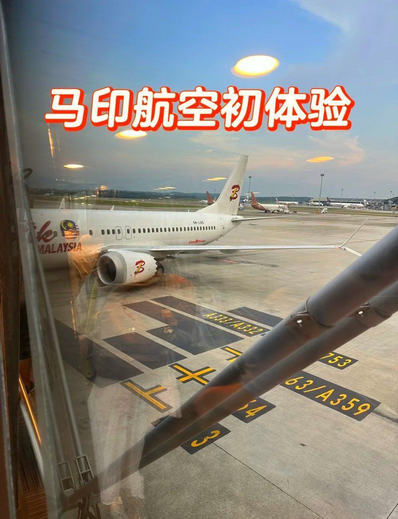 馬印航空怎么樣安全嗎 龍魚百科 第5張 馬印航空怎么樣安全嗎 馬印航空怎么樣安全嗎 龍魚百科 第5張