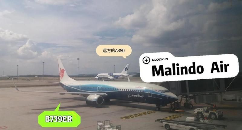 馬印航空怎么樣安全嗎 龍魚百科 第6張 馬印航空怎么樣安全嗎 馬印航空怎么樣安全嗎 龍魚百科 第6張
