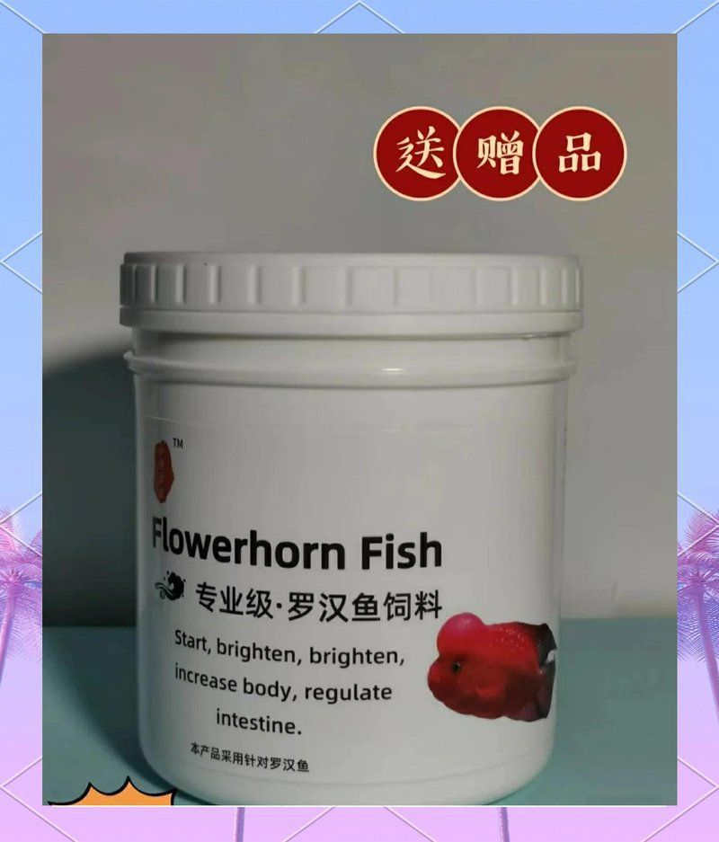 馬來西亞羅漢魚適合養嗎