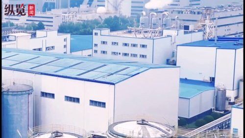 金龍魚(yú)河北生產(chǎn)基地在哪里