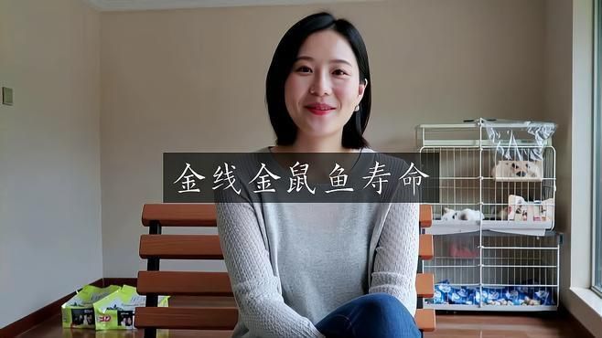 老鼠魚的壽命一般多長(zhǎng)時(shí)間