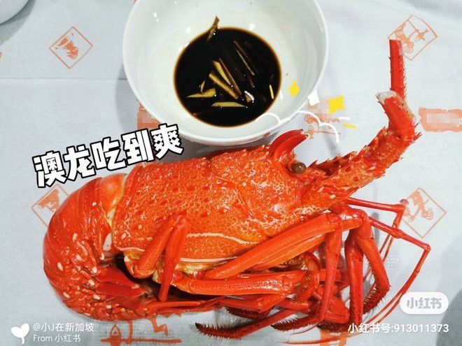 澳龍烹飪時需要多長時間