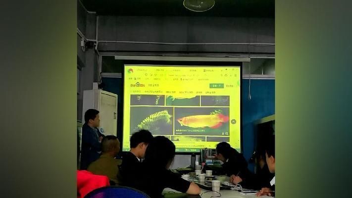 龍魚知識講座:關于龍魚養殖的全面知識 龍魚百科 第1張 龍魚知識講座:關于龍魚養殖的全面知識 龍魚知識講座:關于龍魚養殖的全面知識 龍魚百科 第1張