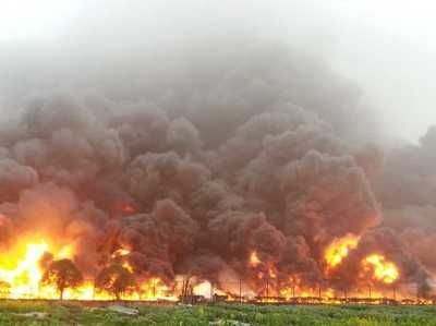 金龍魚現(xiàn)狀（金龍魚2019年12月11日開盤價為35.65元）