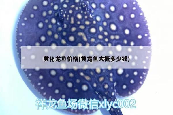 森森魚缸顯示屏設置泵開關（魚缸顯示屏泵開關操作指南如何自定義）