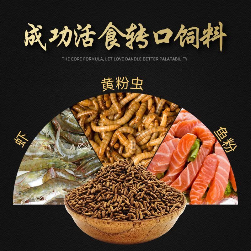 紅龍魚喂什么飼料最好喂什么活食最好【紅龍魚喂什么飼料最好喂什么活食最好喂什么活食最好】