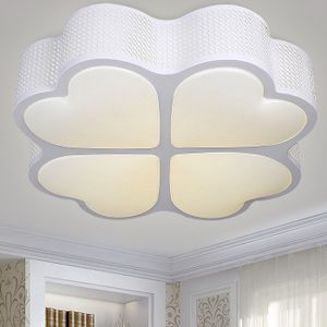 金龍魚用什么品牌的燈：金龍魚的照明需求