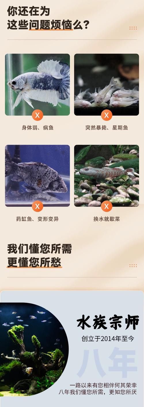 金龍魚和清道夫能混養(yǎng)嗎圖片