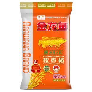 高背金龍魚好嗎值得養嗎（高背金龍魚是一種值得養的寵物魚，它們是一種值得養的寵物魚）