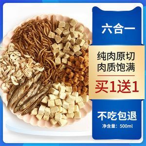 龍魚的養(yǎng)護(hù)和管理措施：龍魚不吃飼料與飼料搭配建議，龍魚不吃飼料怎么辦