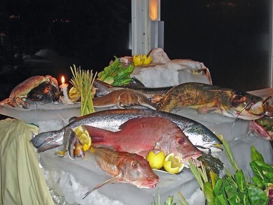 紅眼白子金龍魚多少錢一條：紅眼白子金龍魚價(jià)格因地區(qū)、大小、血統(tǒng)和市場需求而有所不同