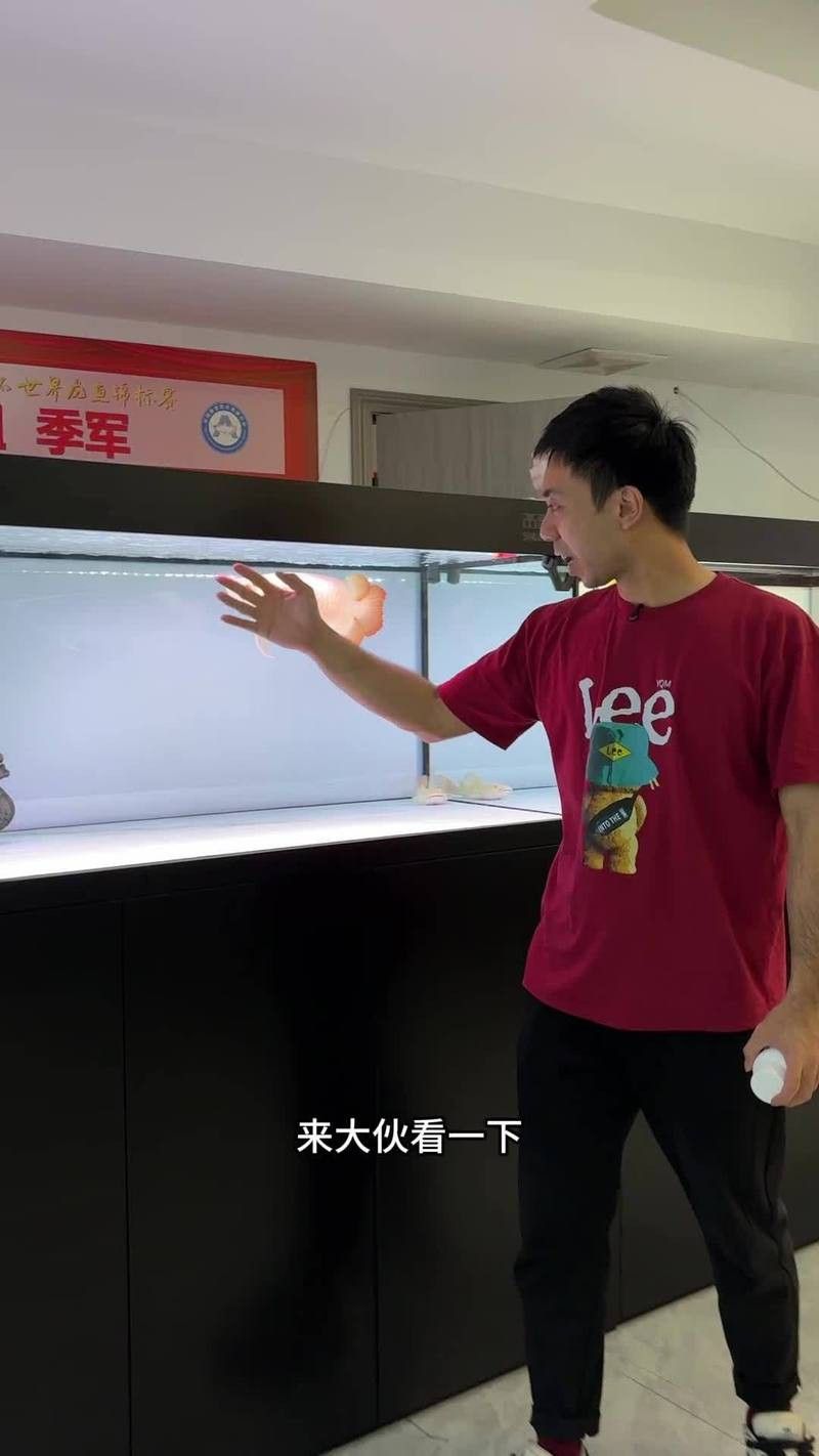 龍魚多久需要檢疫一次？