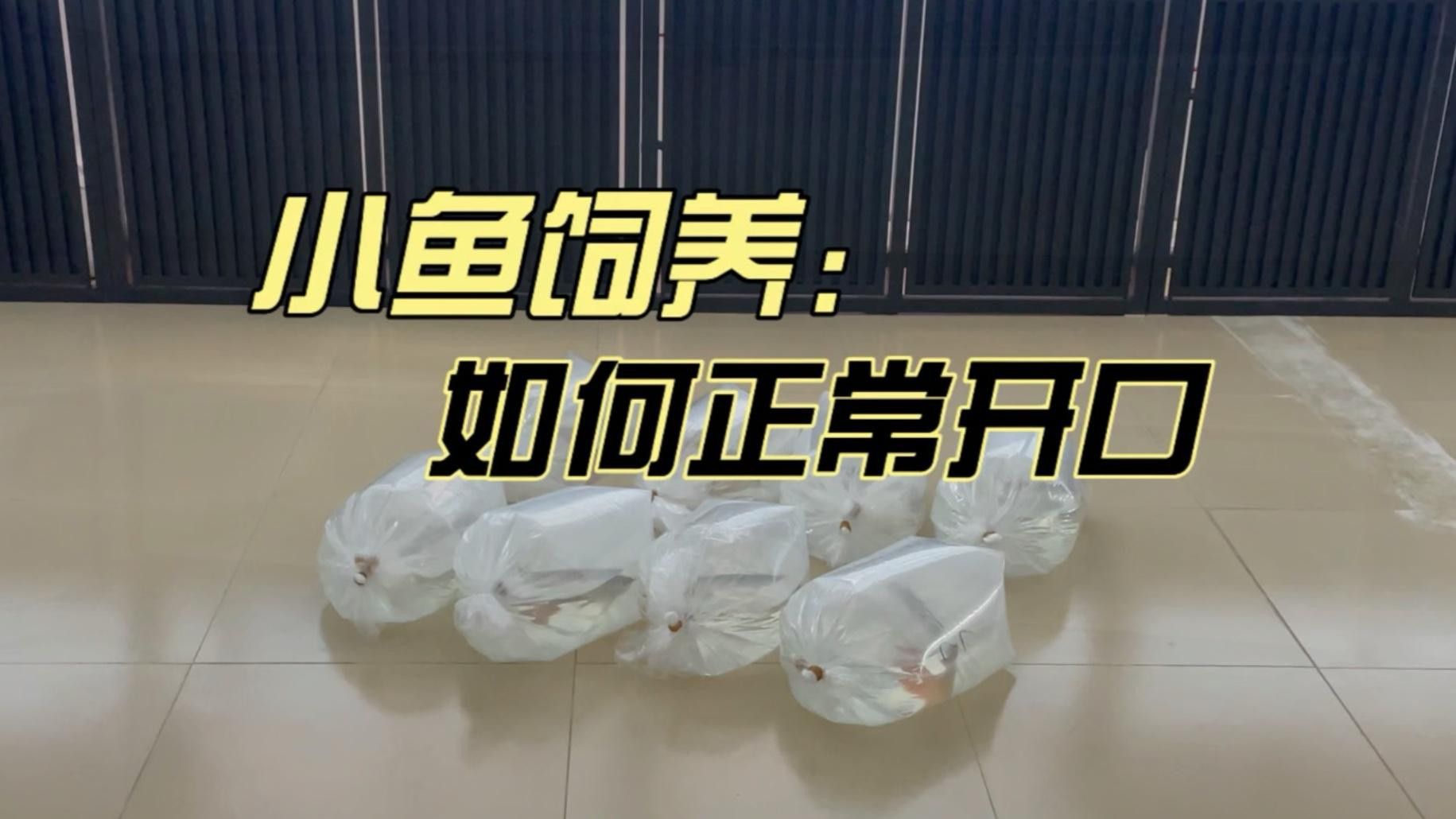 龍魚多久需要檢疫一次？