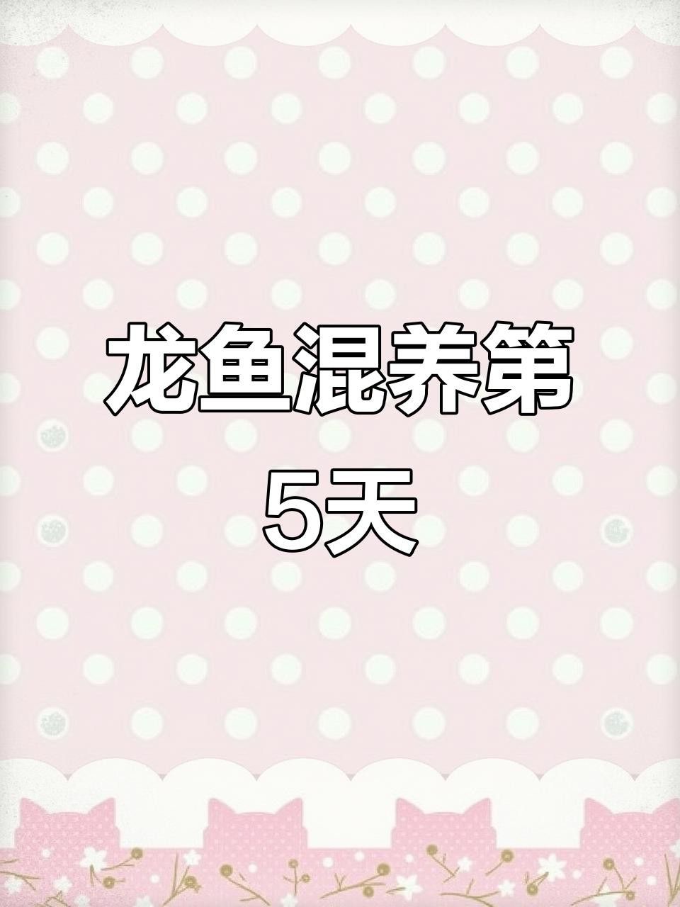 混養龍魚需要多長時間適應