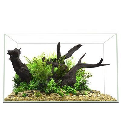 圓柱形魚缸造景效果圖（圓柱形魚缸造景材料選購指南如何打造自然風格魚缸景觀）