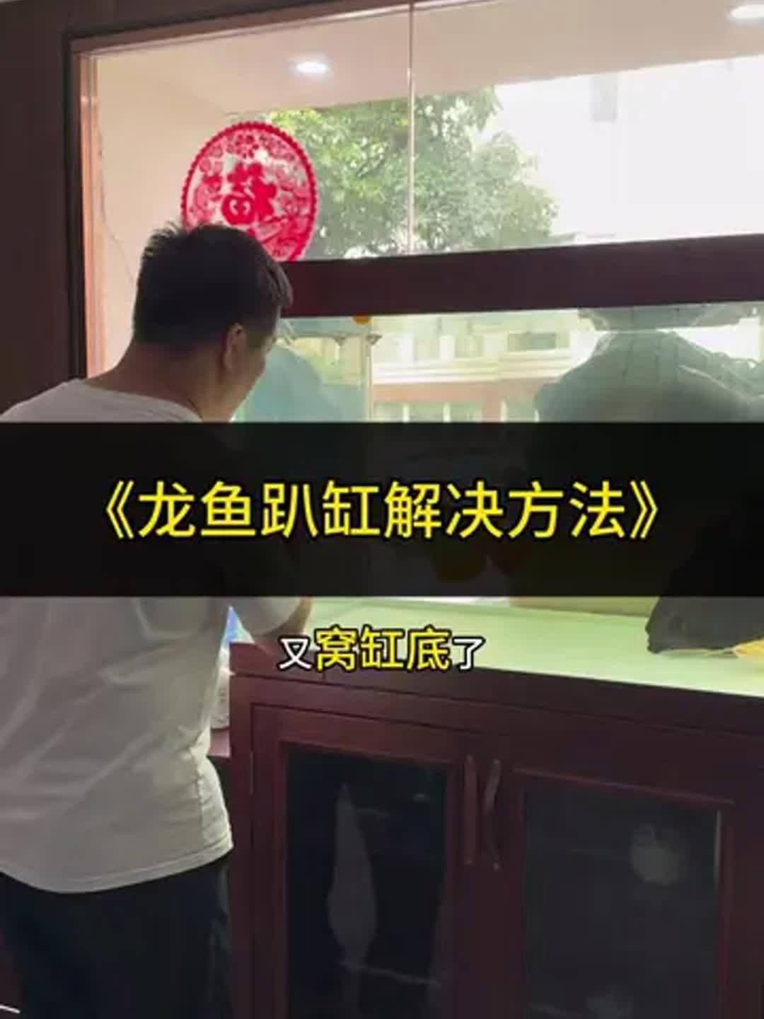 龍魚趴缸怎么解決