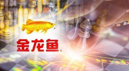 長春市金龍魚代理是誰（金龍魚電商合作伙伴的企業(yè)或個人需具備一定的市場運營能力和良好的商業(yè)信譽）