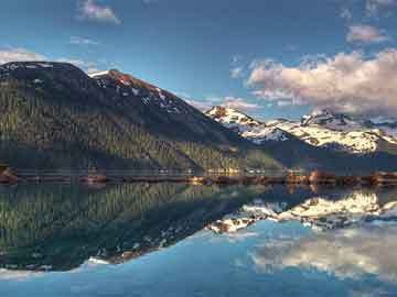 龍魚鱗片受傷必須要拔掉嗎，龍魚鱗片受傷后是否需要拔掉