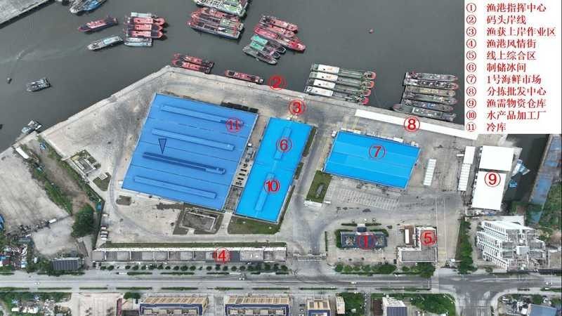防城港金龍魚批發市場在哪里啊多少錢