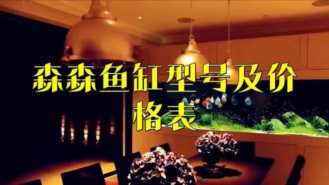 森森龍魚缸的具體型號有哪些
