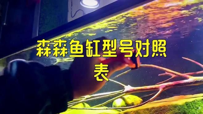 森森龍魚缸的具體型號有哪些