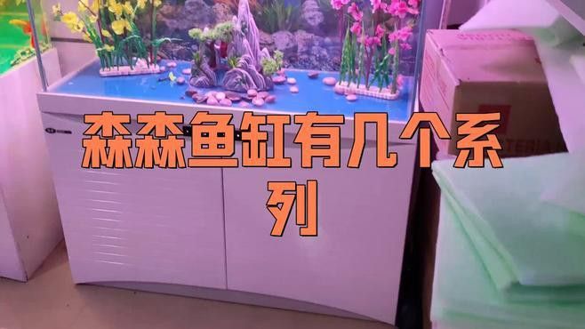 森森龍魚缸的具體型號有哪些