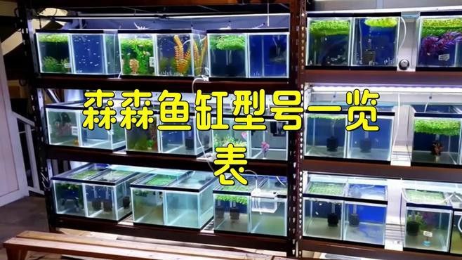 森森龍魚缸的具體型號有哪些